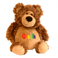 Personalized Brown Teddy Bear in Primary Colors